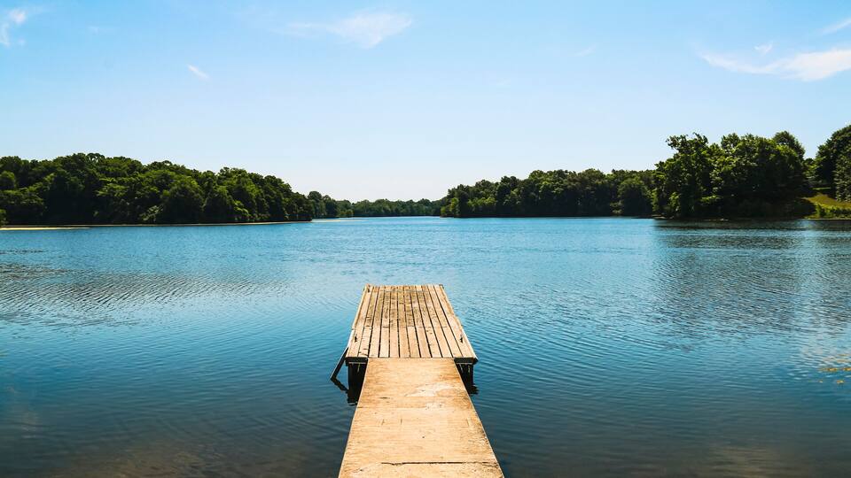 A wooden pier extending into a calm lake surrounded by dense trees.