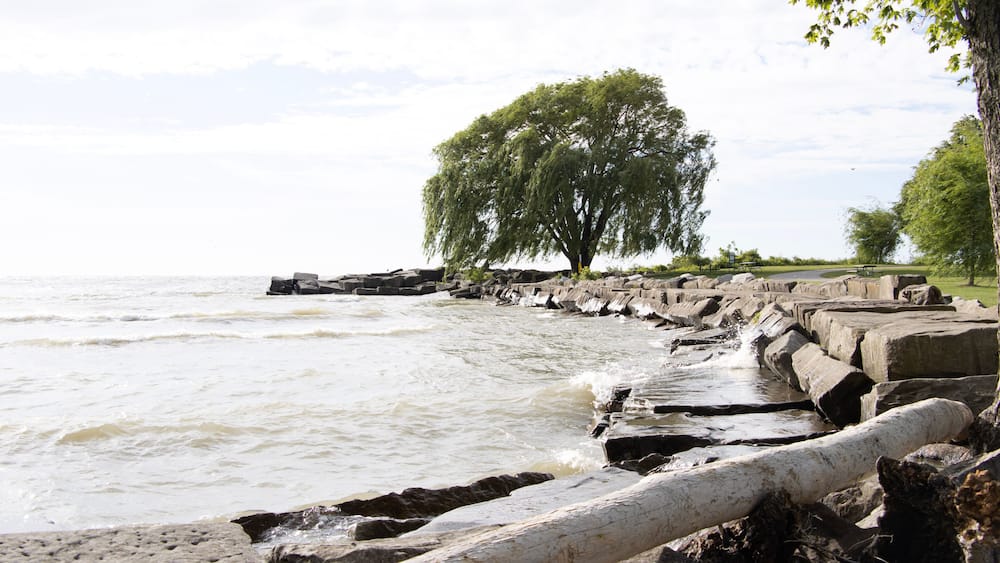 Rocky coastline