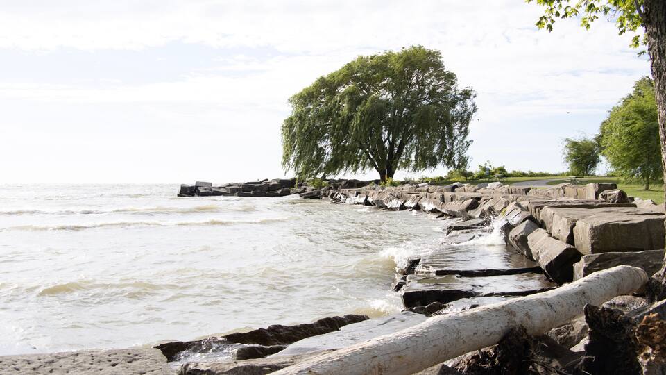 Rocky coastline
