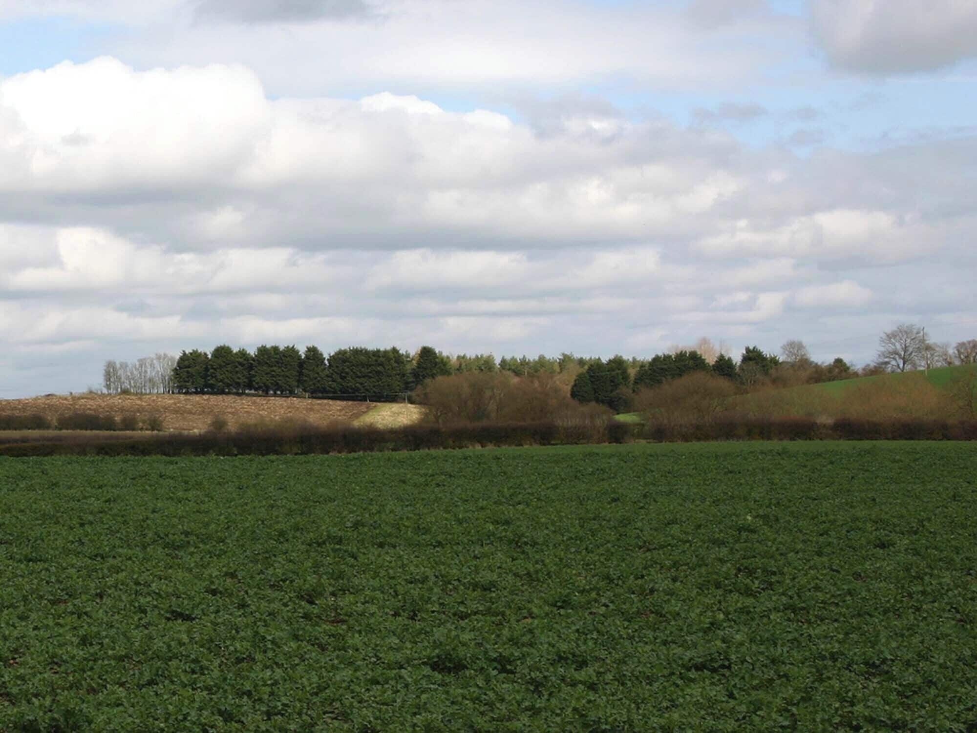 Hookend Coppice from A3400 View ENE across the diagonal of the gridsquare towards Hookend Coppice, from opposite the entrance to Alderminster Farm.