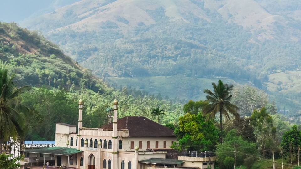 A mosque with a minaret, surrounded by lush greenery and palm trees, with a mountain in the background.