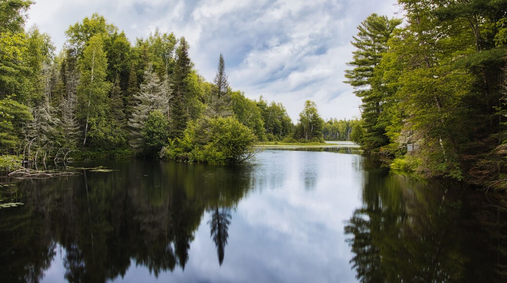 Shay Dam near Mercer, Wisconsin
