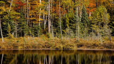 The autumn shoreline colors of a small bog lake in northern Wisconsin reflect off the calm waters