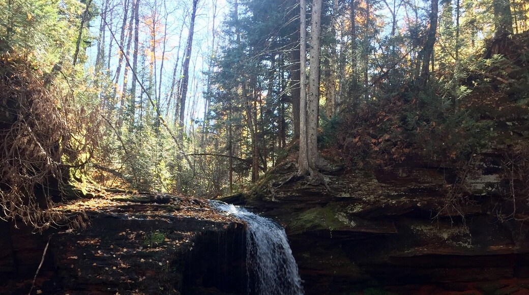 Such a peaceful place. I could nap here for hours.
#GreatOutdoors