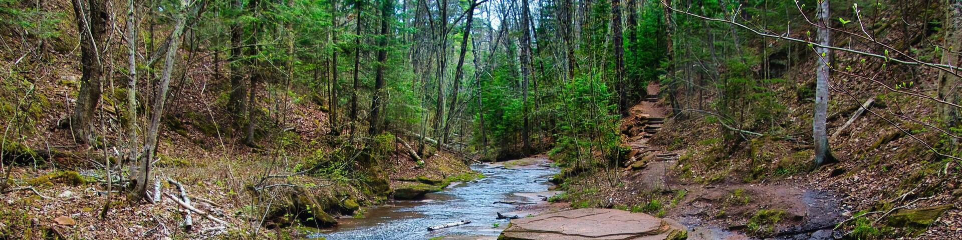 Landscape of Lost Creek flowing by large rocks in a peaceful forest on an early Spring day near Cornucopia, Wisconsin.