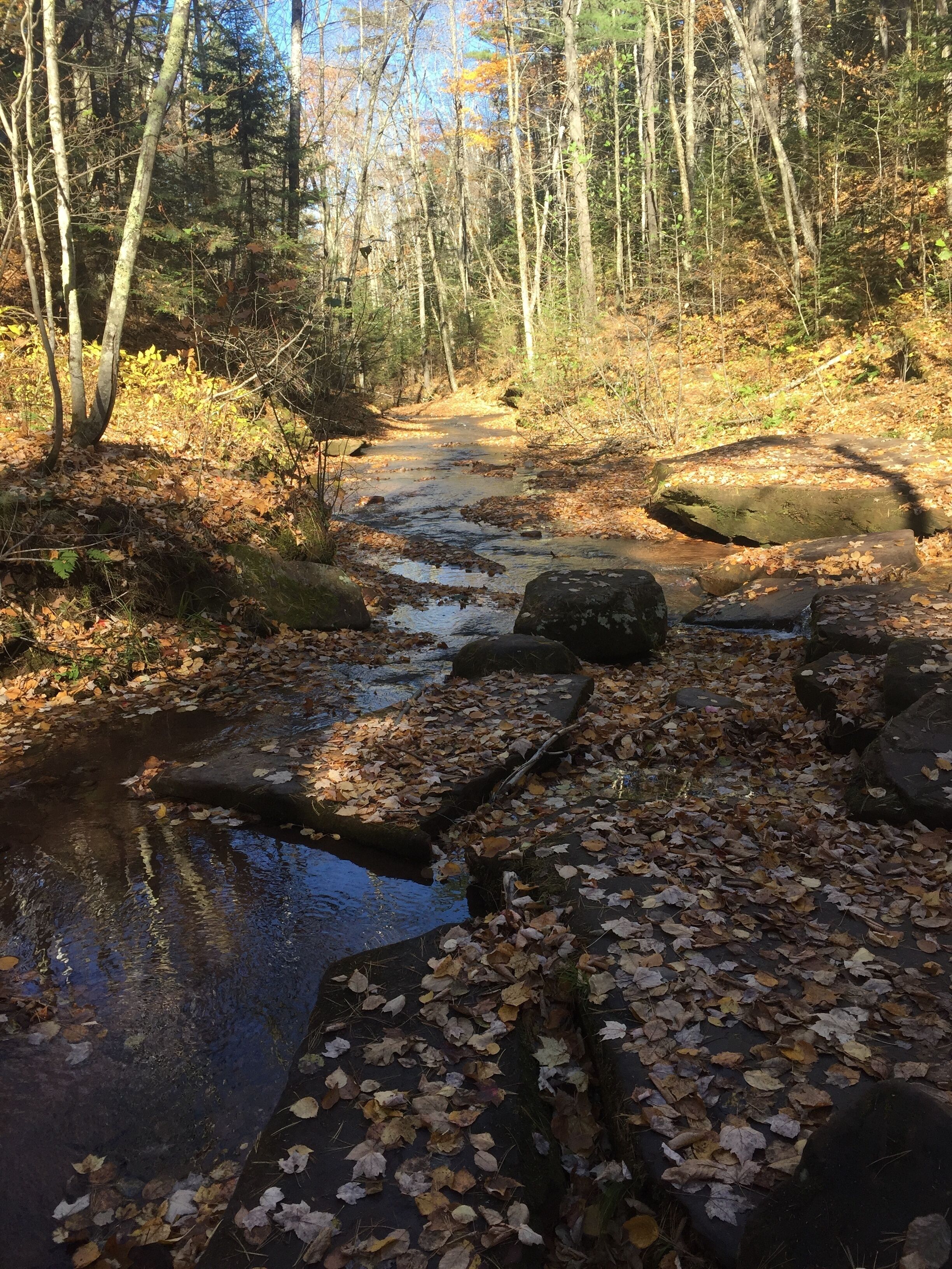 Nothing like hiking in fall. Crisp air beautiful color. Rushing water in the stream. Thank you Wisconsin. 
#GreatOutdoors