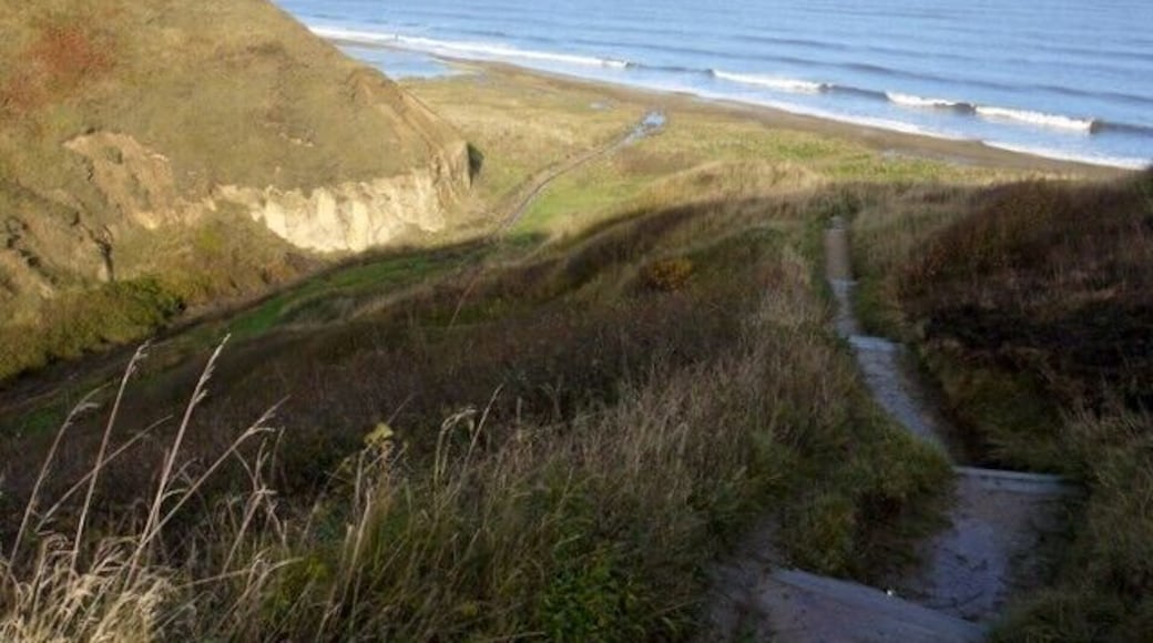 Path at Blackhills Gill, Horden