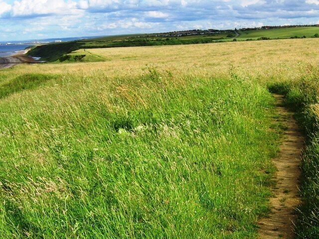 Coastal Grassland near Horden Coastal grassland along the Durham Coast Path near Horden
