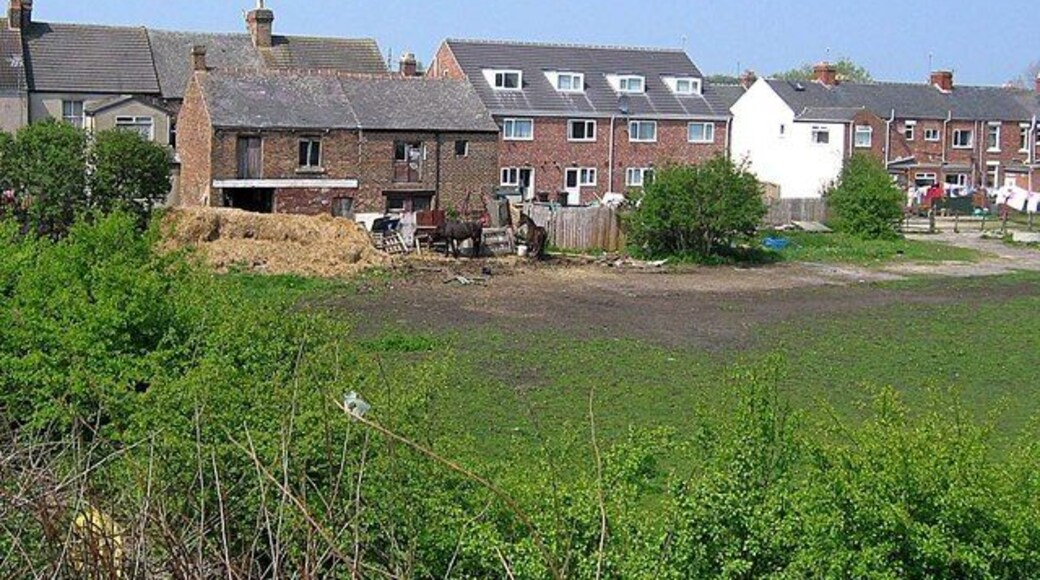 Stable behind Onslow Terrace