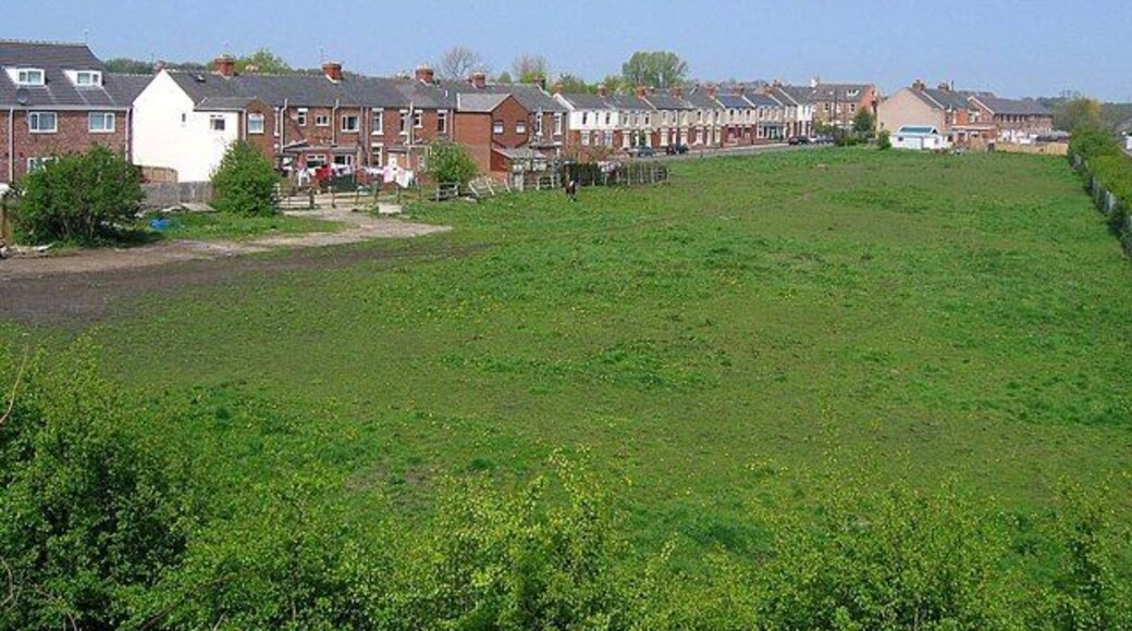 Field behind Onslow Terrace