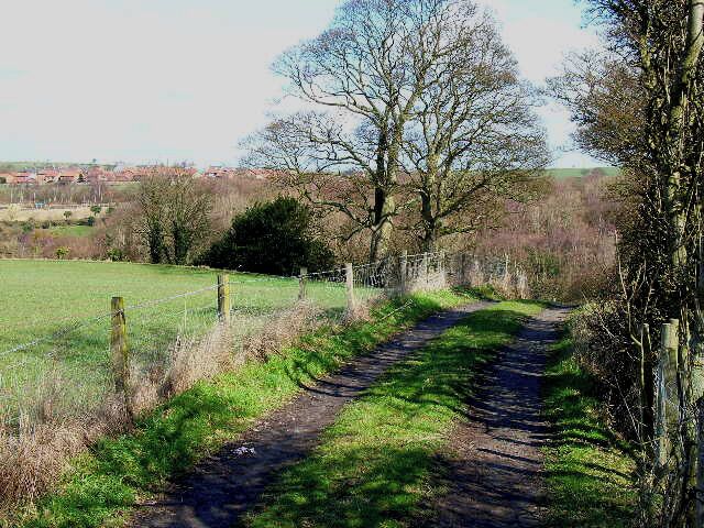 Farm road in the Deerness Valley. Looking north from the road between Langley Moor and New Brancepeth. The village of Broom Park can be seen in the distance