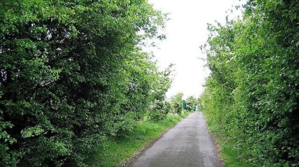 Lane approaching Littleburn Farm Railway Bridge