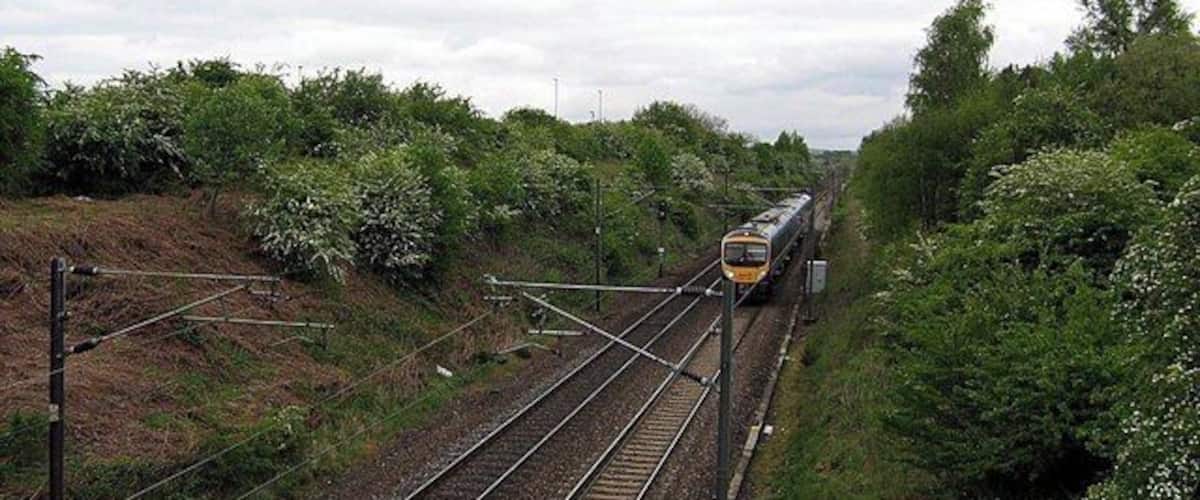 A train on railway tracks surrounded by greenery.