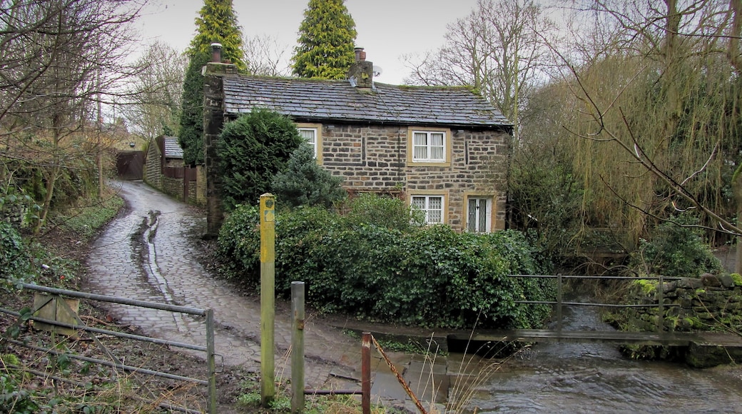 Beck Bottom