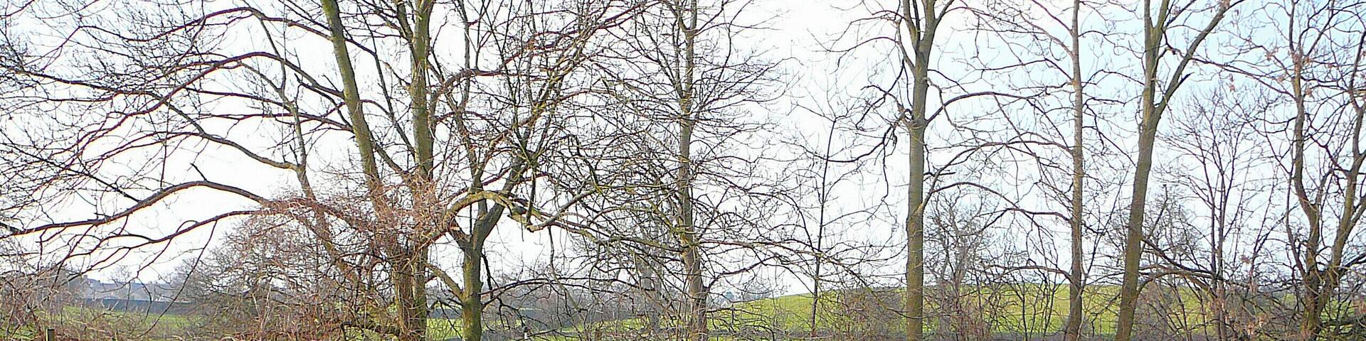 by the Leeds and Liverpool Canal, Apperley Bridge