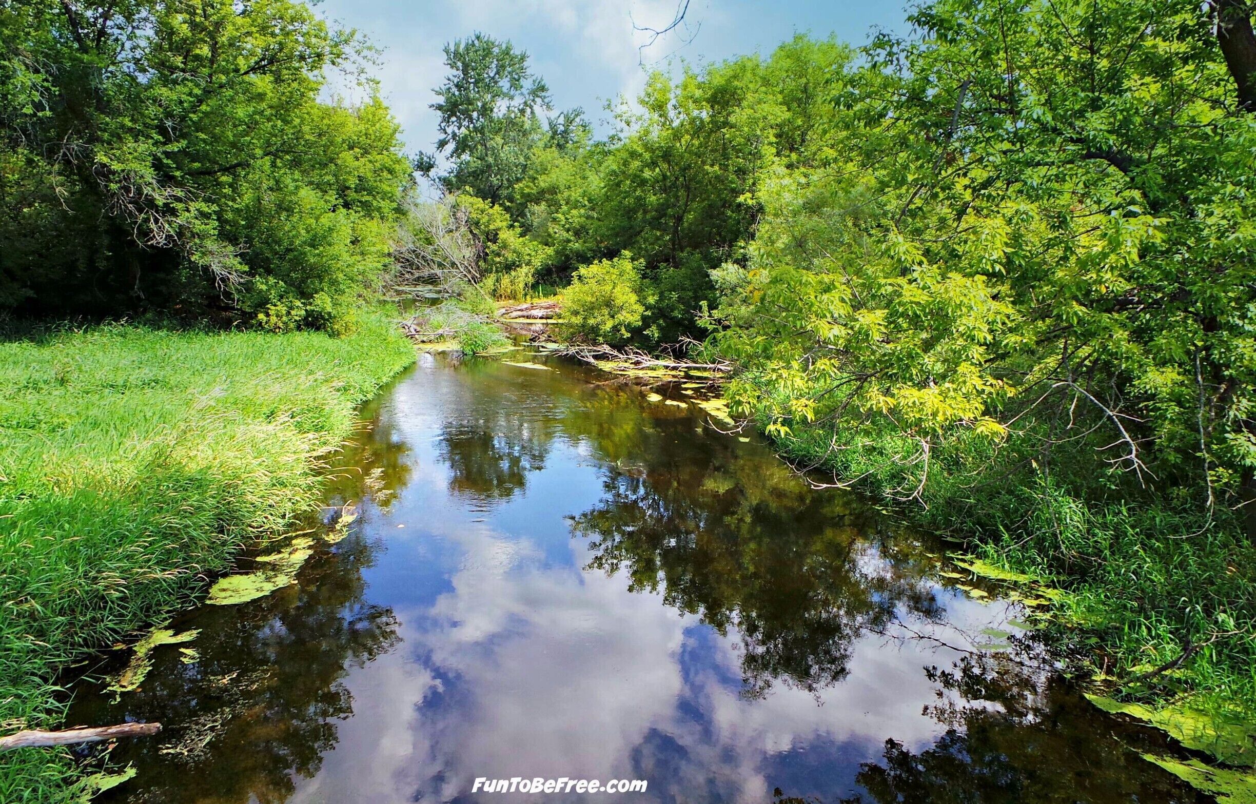 Part of my South Central Wisconsin album on Facebook - Amazing easy trail #GlacialDrumlin. goes on for miles great for #Hiking & #Biking