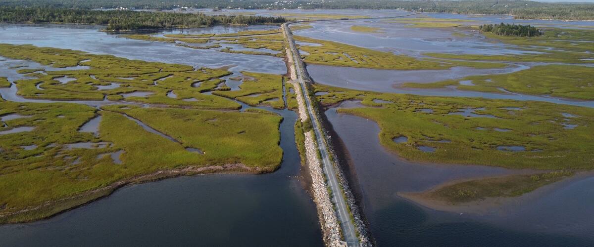 A coastal landscape with a long bridge connecting two land masses, surrounded by wetlands and a distant forested area.
