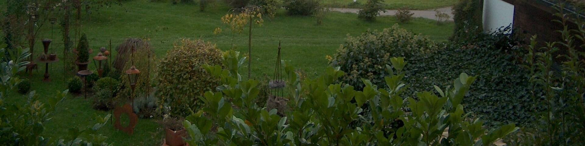 Sicht von Dieselbach