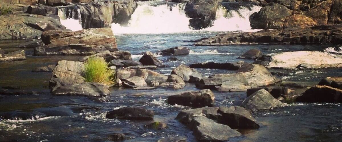A rocky river with a waterfall and surrounding forest.