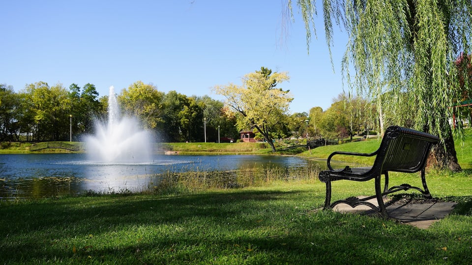 A park with a fountain, a bench, and willow trees.