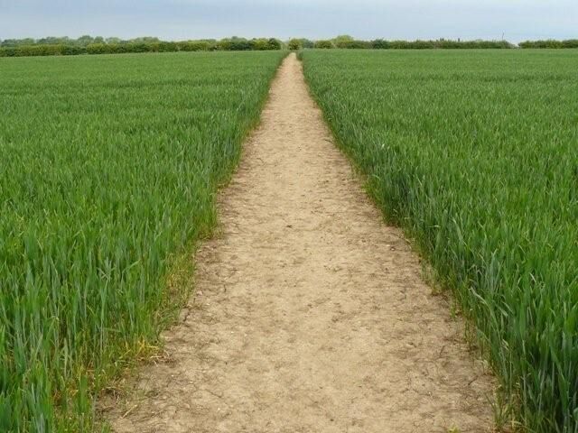 Path to Bunny old Wood on The Midshires Way