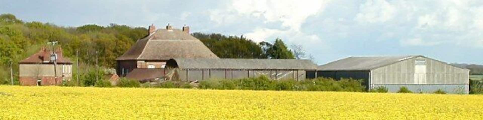 Highfields, Costock. Sitting in a sea of Rape once again.