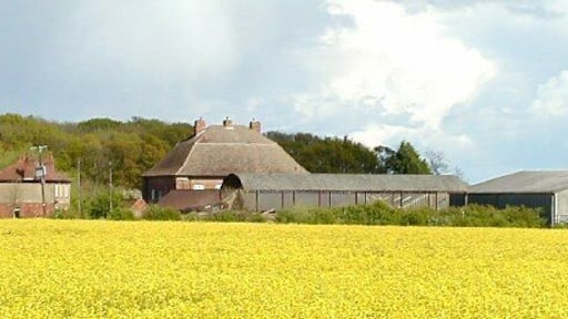 Highfields, Costock. Sitting in a sea of Rape once again.