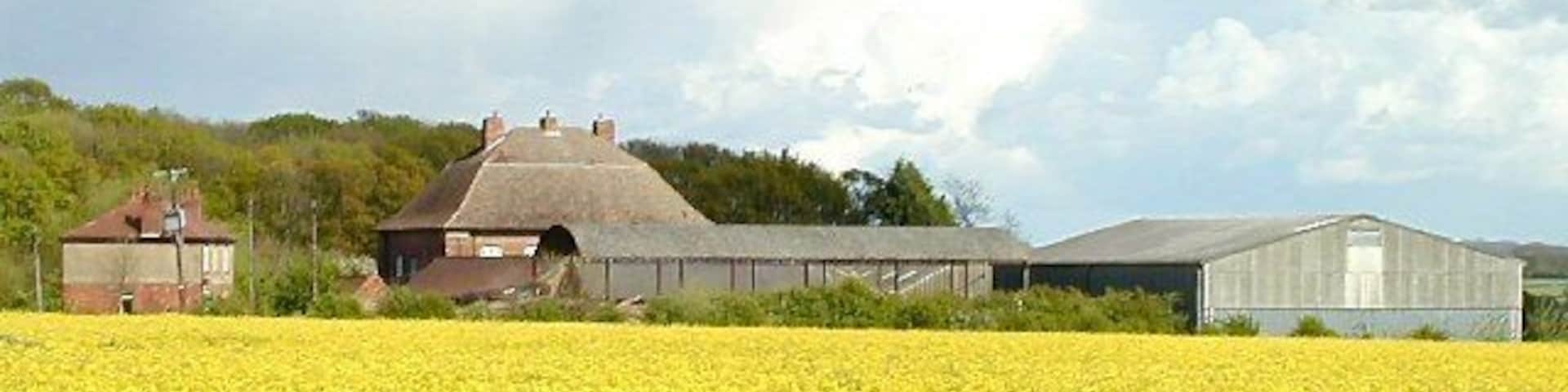 Highfields, Costock. Sitting in a sea of Rape once again.