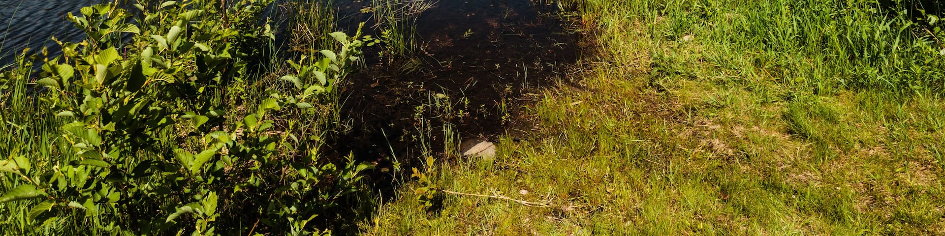 The calm waters of Little Carr Lake, near Hazelhurst, Wisconsin awaits the canoeist in mid-June