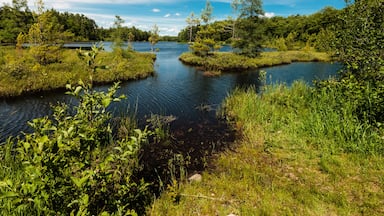 The calm waters of Little Carr Lake, near Hazelhurst, Wisconsin awaits the canoeist in mid-June