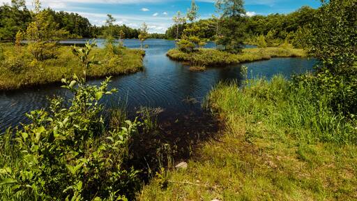 The calm waters of Little Carr Lake, near Hazelhurst, Wisconsin awaits the canoeist in mid-June