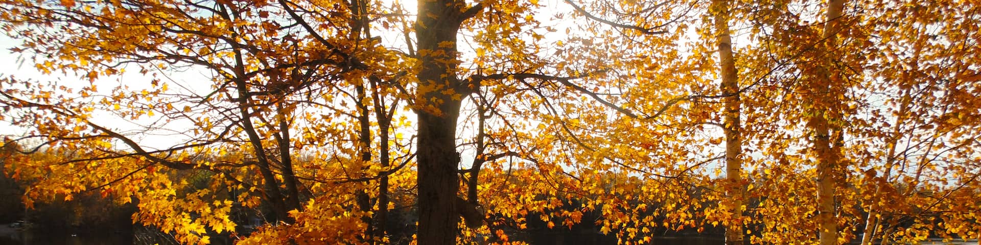 If you haven't been there you really must go!! Peak color late Sept early October