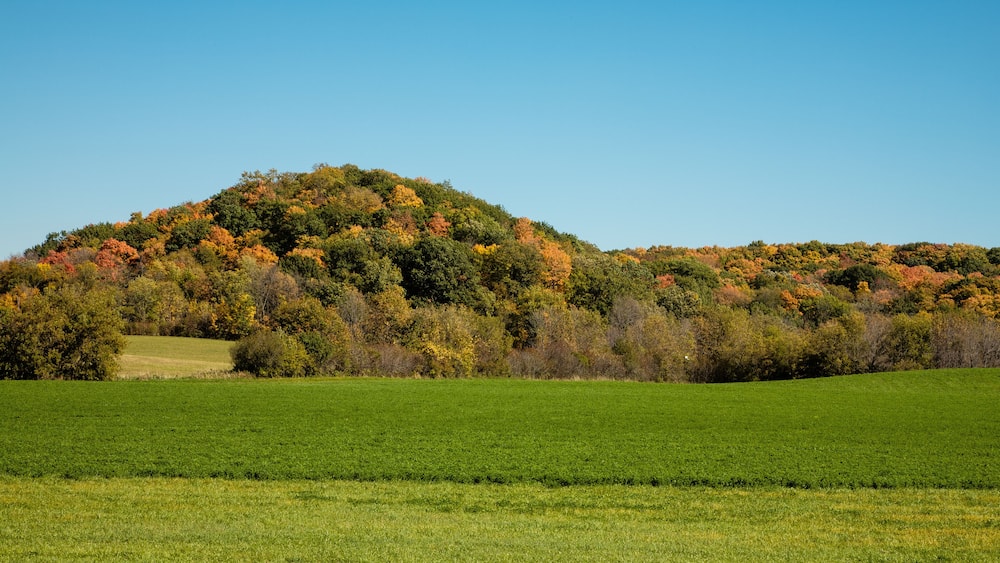 Kame in Autumn, located in the northern Kettle Moraine area, just outside of Kewaskum, Wisconsin