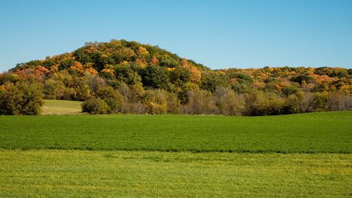 Kame in Autumn, located in the northern Kettle Moraine area, just outside of Kewaskum, Wisconsin
