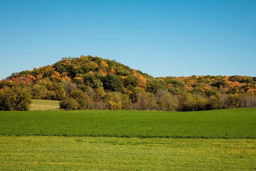 Kame in Autumn, located in the northern Kettle Moraine area, just outside of Kewaskum, Wisconsin