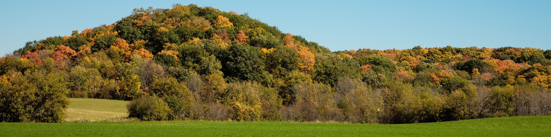 Kame in Autumn, located in the northern Kettle Moraine area, just outside of Kewaskum, Wisconsin