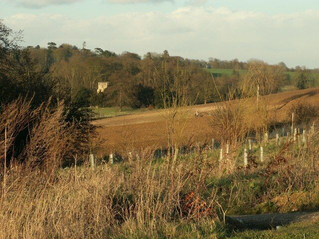 Looking across to the ruined church at Wadesmill