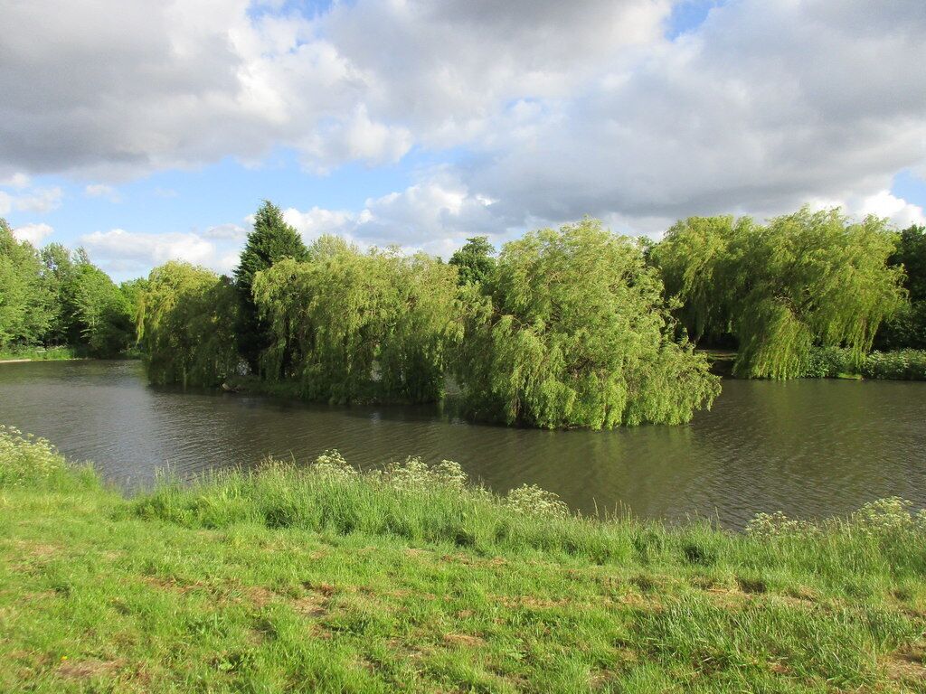 A calm river surrounded by lush greenery and trees.
