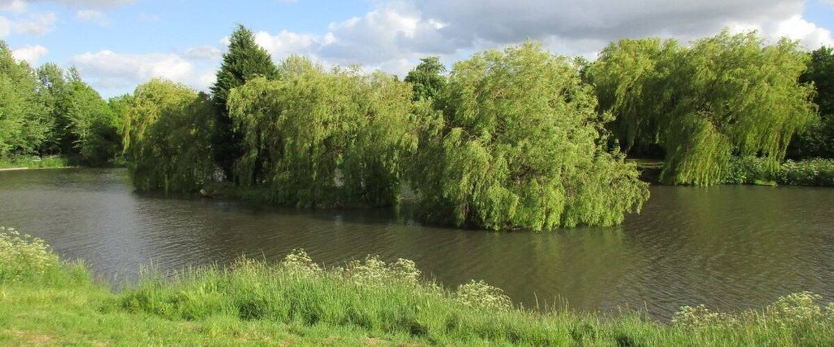 A calm river surrounded by lush greenery and trees.