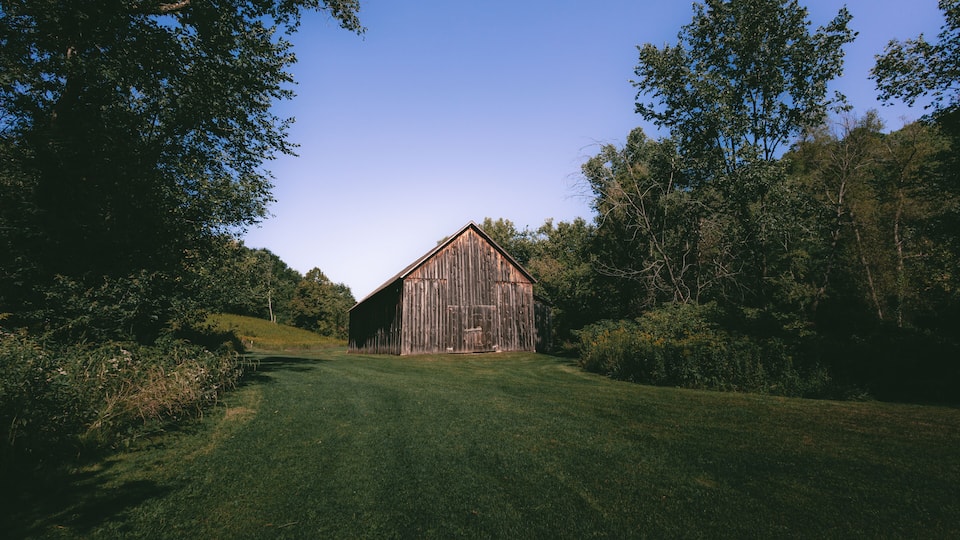 A wooden barn surrounded by lush greenery and trees.