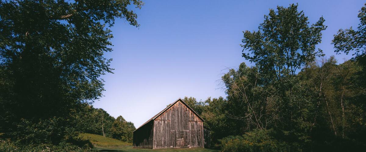 A wooden barn surrounded by lush greenery and trees.