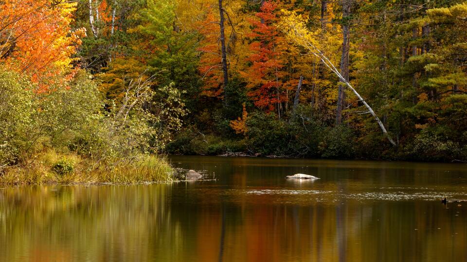 A calm lake surrounded by autumn-colored trees.