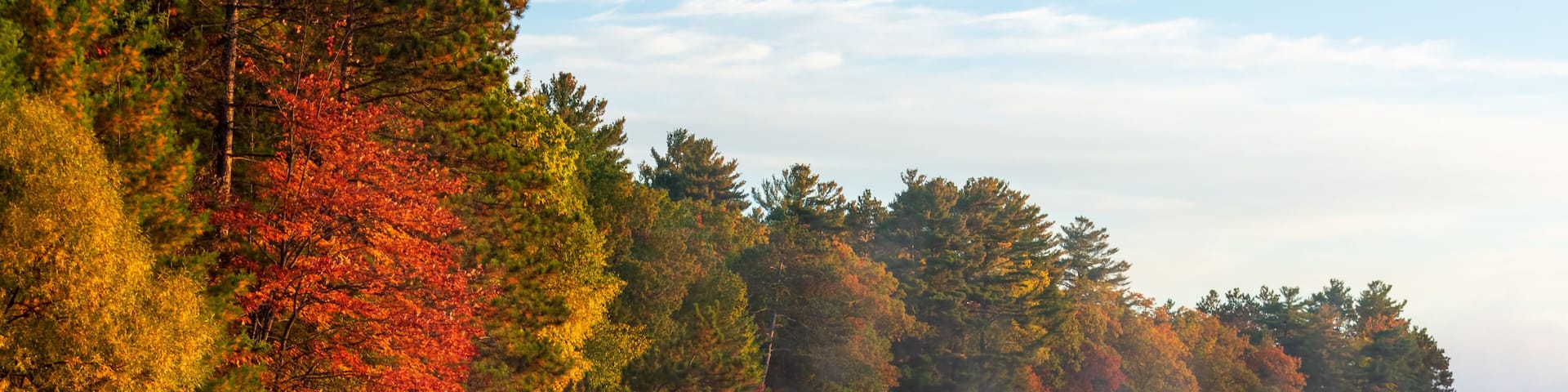 A calm lake with autumn-colored trees reflecting on the water, a misty shoreline, and a clear sky.