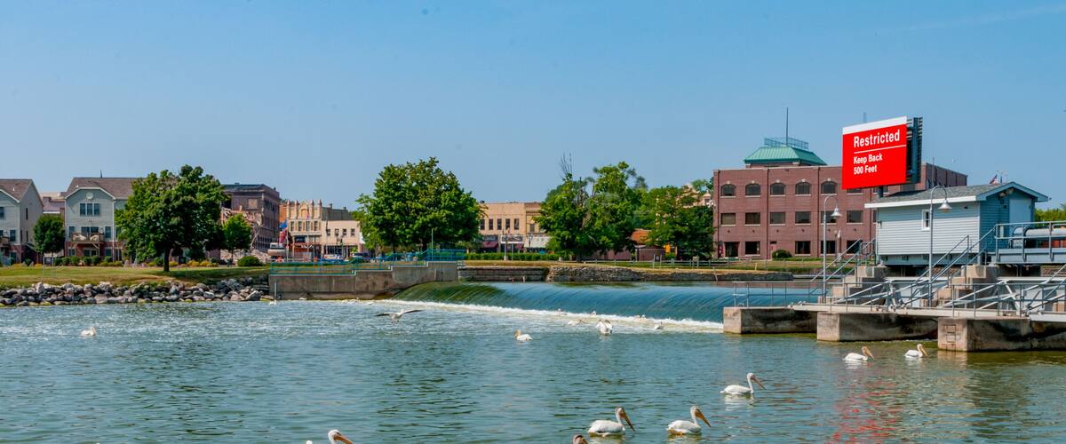 A river with pelicans swimming, a sign that says "Restricted Keep Back 500 Feet", and buildings in the background.