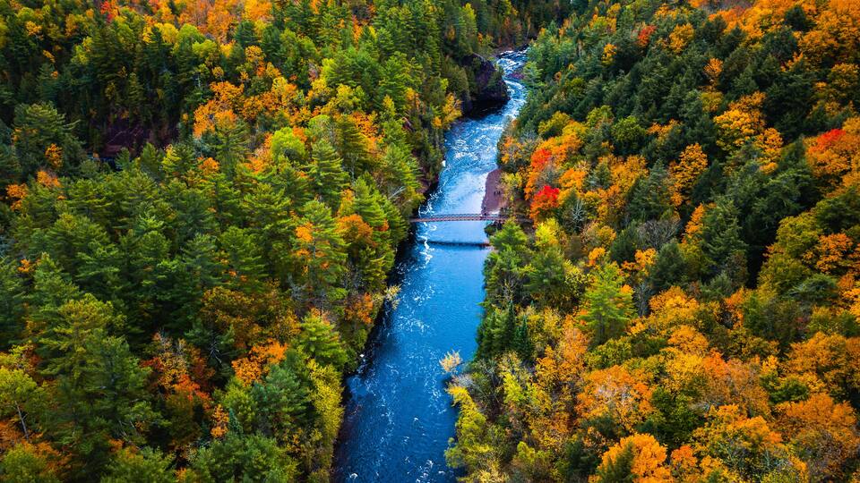 A river flowing through a forest with autumn-colored trees.