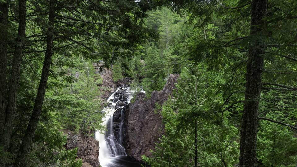 A waterfall surrounded by dense forest.