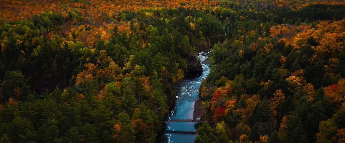 A river winding through a dense forest with autumn foliage.