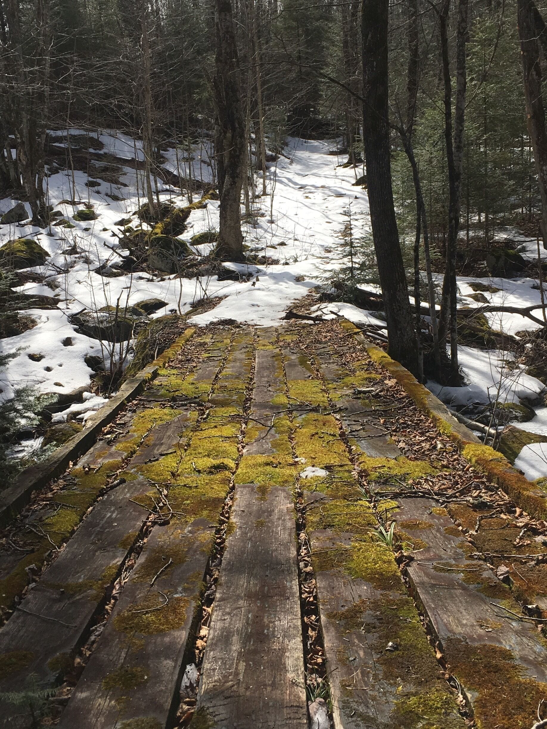 The North Country National Scenic Trail stretches 4,600 miles from New York to North Dakota. This pretty spot is on the trail near Mellen, Wisconsin.