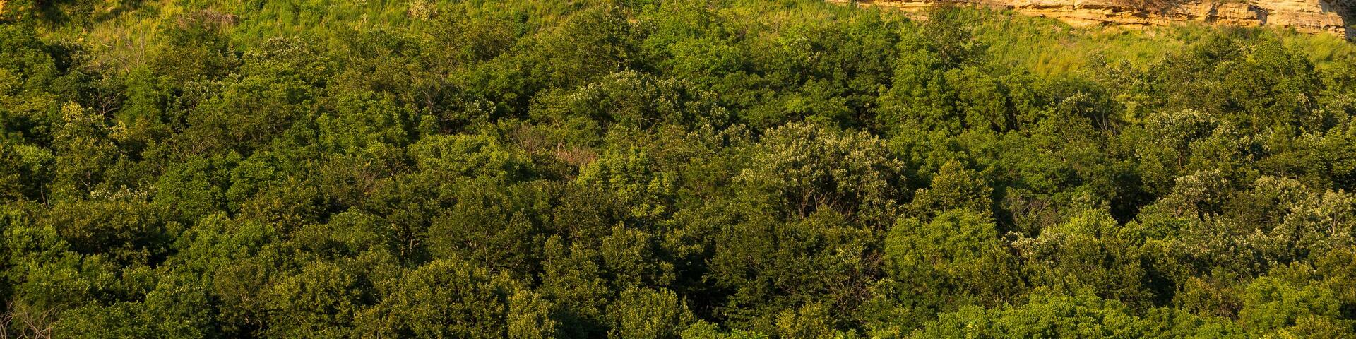 Twin Bluffs / A pair of cliffs in late day sun.