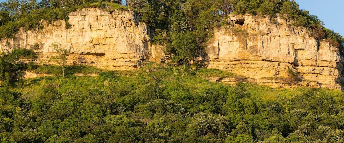 A rocky cliff with dense green vegetation at its base.